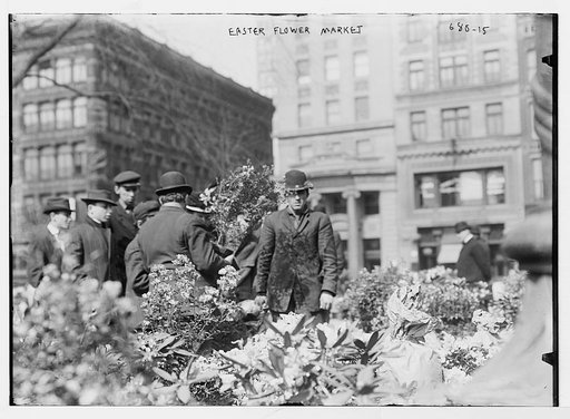 Easter Flower Market, Union Square, New York