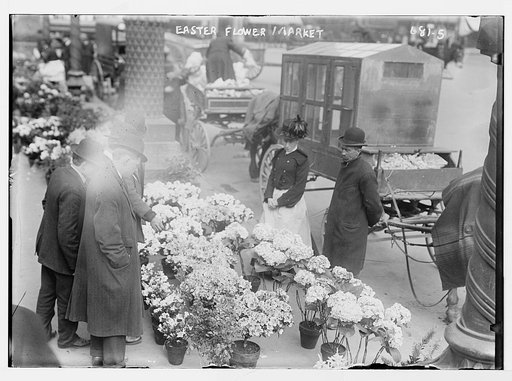 Easter Flower Market, Union Square, New York