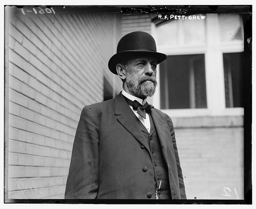 R.F. Pettigrew