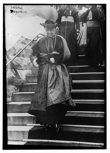 Cardinal Annutelle descending steps