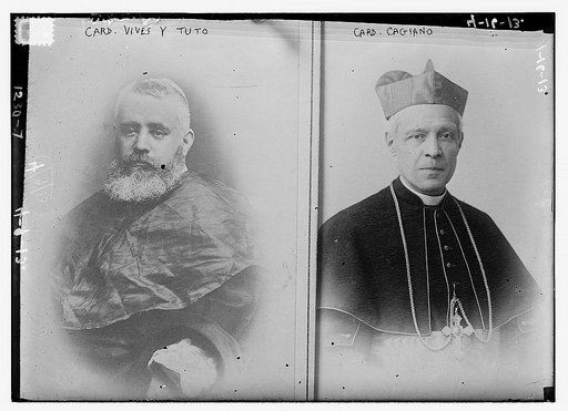 Cardinal Vives y Tuto and Cardinal Cagiano