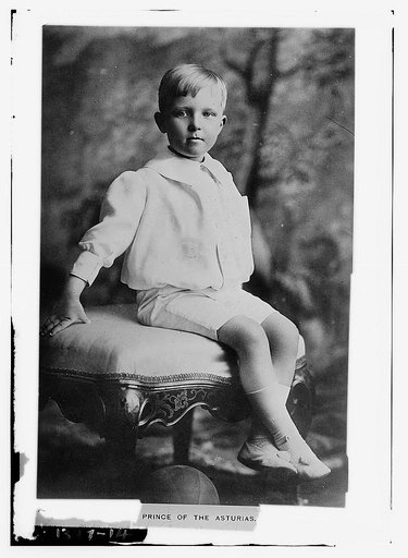 Prince of the Austrias