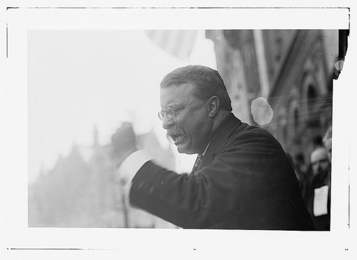 T.R. [Theodore Roosevelt