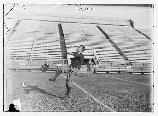 Coy, Yale
