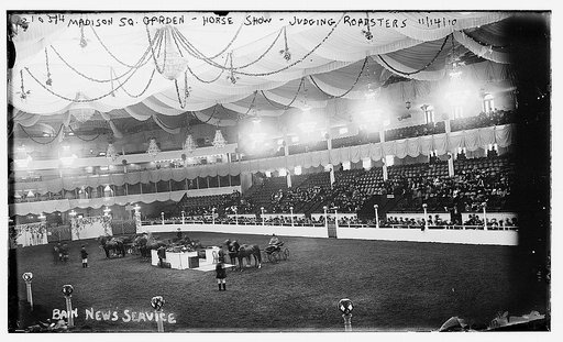 Madison Square Garden, Horse Show, judging roadsters