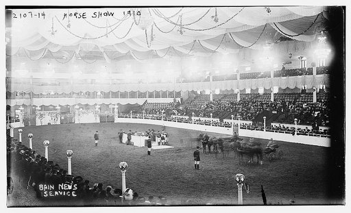 Horse Show