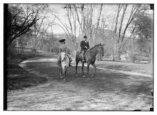 Central Park Horseback Riding