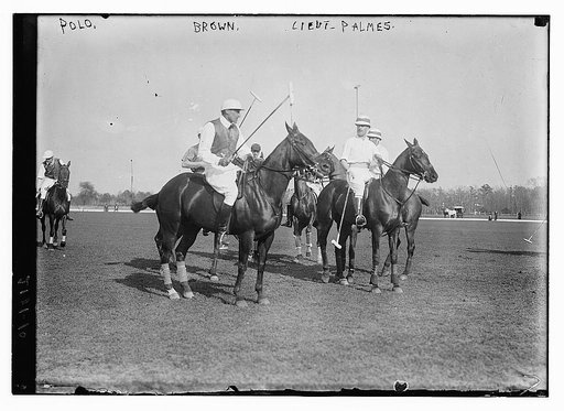 Polo, Brown, Lieut. Palmes