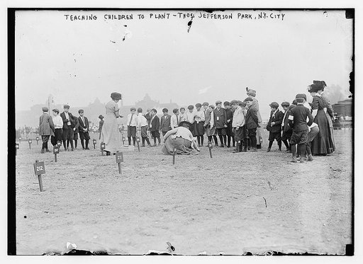 Teaching children to plant, Thos. Jefferson Park, N.Y.C.