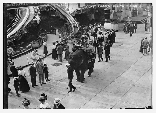 Coney Island, Riding Elephant