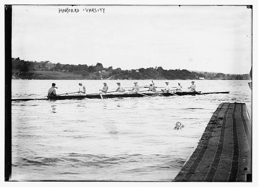 Harvard varsity