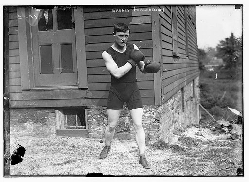 Warnes (Middleweight)