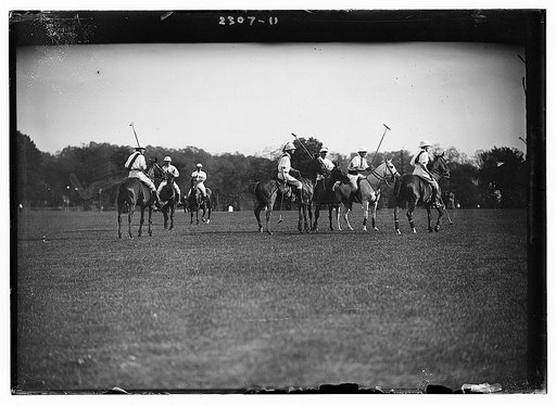 Polo