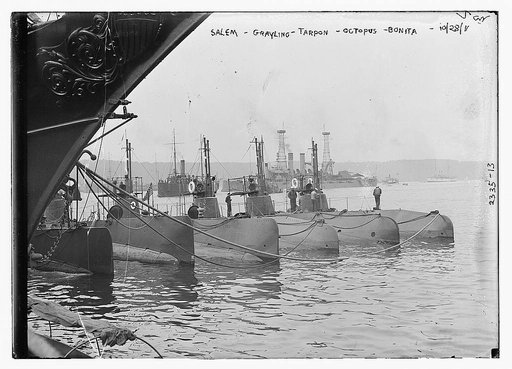 SALEM [i.e. SALMON], GRAYLING, TARPON, OCTOPUS, and BONITA