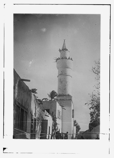 Tripoli - Sentinels