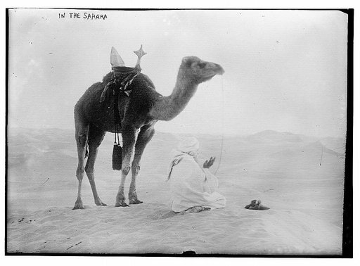 In the Sahara