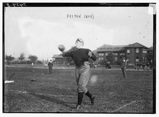 Gardner and Felton, Harvard