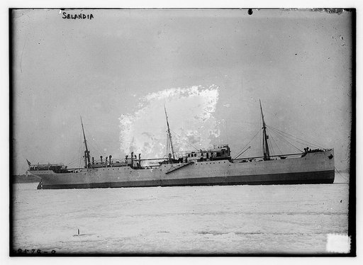 Selandia