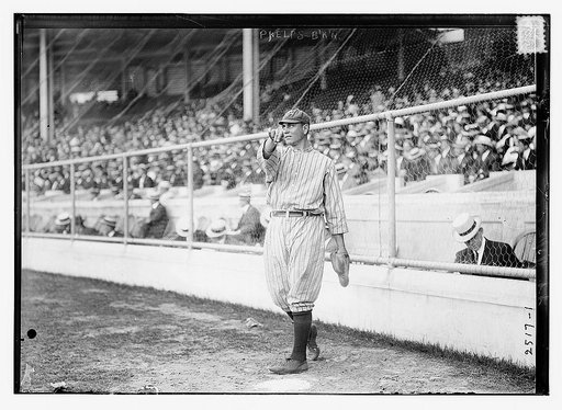 Ed Phelps, Brooklyn NL (baseball)
