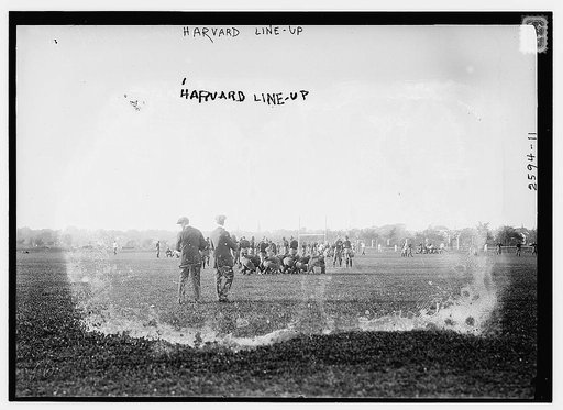 Harvard line-up