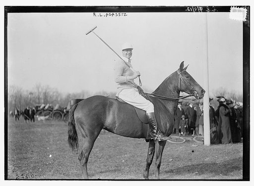 R.L. Agassiz [on horse] - polo