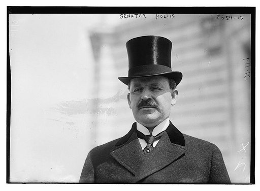Senator Hollis