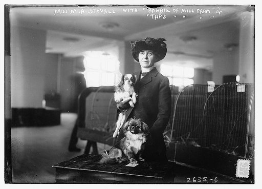Miss M.A. Stovall with pets