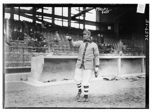Ed Phelps, Brooklyn NL (baseball)