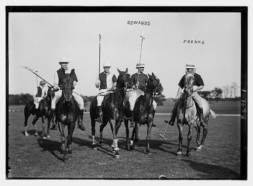 Edwards, Freake, and others -- Polo