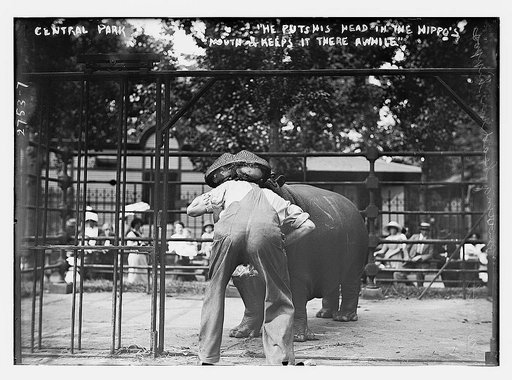 Central Park - man with head in hippo's mouth