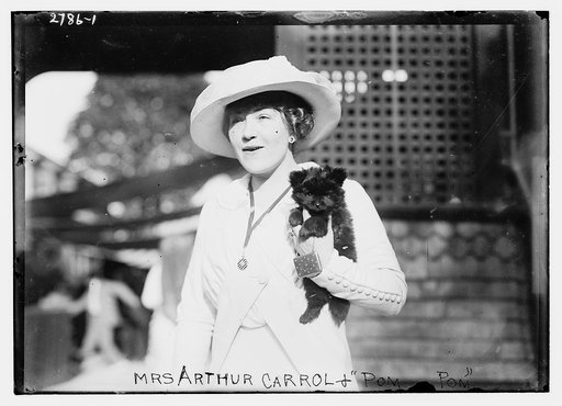 Mrs. Arthur Carrol and "Pom Pom"