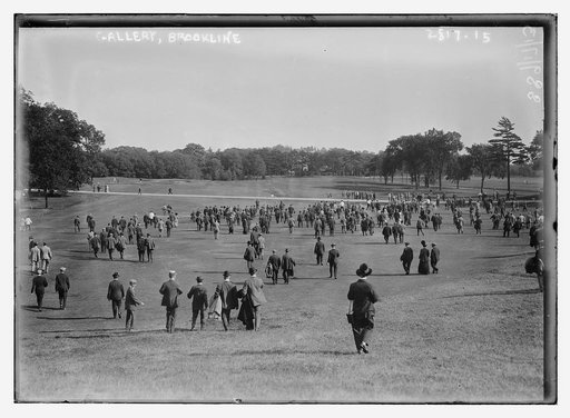 Gallery - Brookline