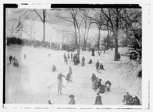 Coasting - Central Park