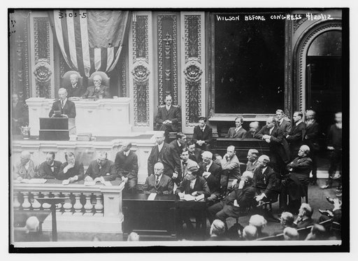 Wilson before Congress, 4/20/[12