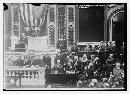 Wilson before Congress, 4/20/[14