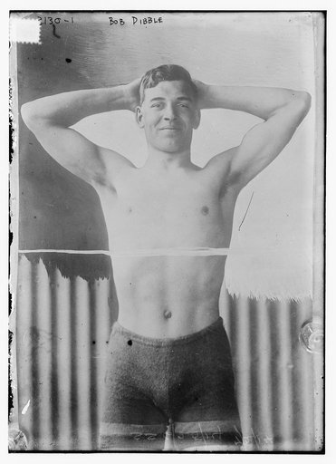 Bob Dibble