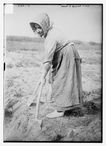 Woman in Belgian Field