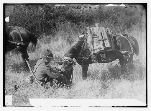 Pony carrying French Mitrailleuse