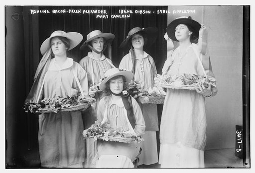 Pauline Bacon -- Helen Alexander -- Irene Gibson -- Sybil Appleton -- Mary Cameron