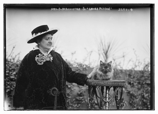Mrs. A.McAllister and "Smoke Persian" cat