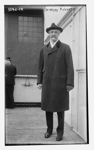 Gifford Pinchot