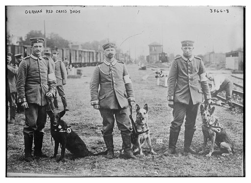 German Red Cross dogs