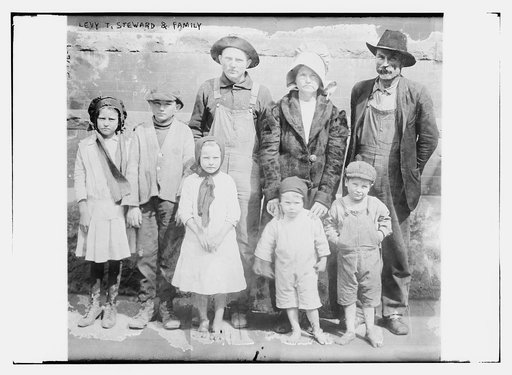 Levy T. Steward [i.e., Levi Thomas Stewart] and family