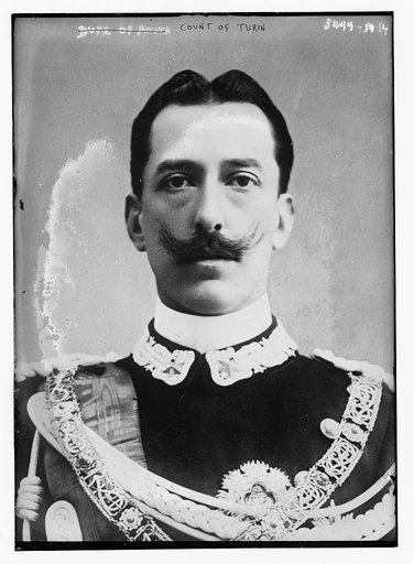 Count of Turin