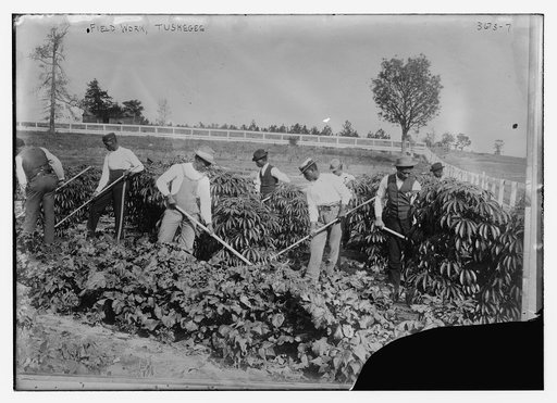 Field work, Tuskegee