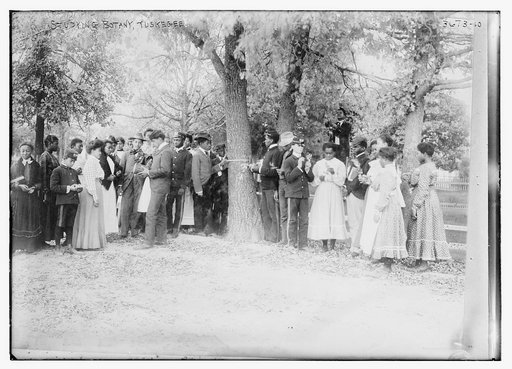 Studying botany, Tuskegee