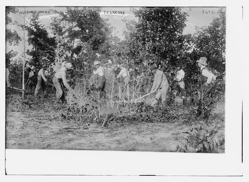 Outdoor work Tuskegee