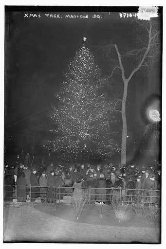 Xmas tree - Madison Sq., 12/27/15