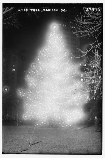 Xmas tree - Madison Sq.