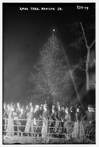 Xmas Tree, Madison Sq., 1915